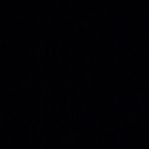 Meet your Posher, Dustin